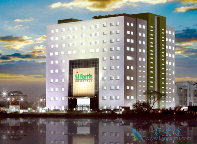 ҽ������