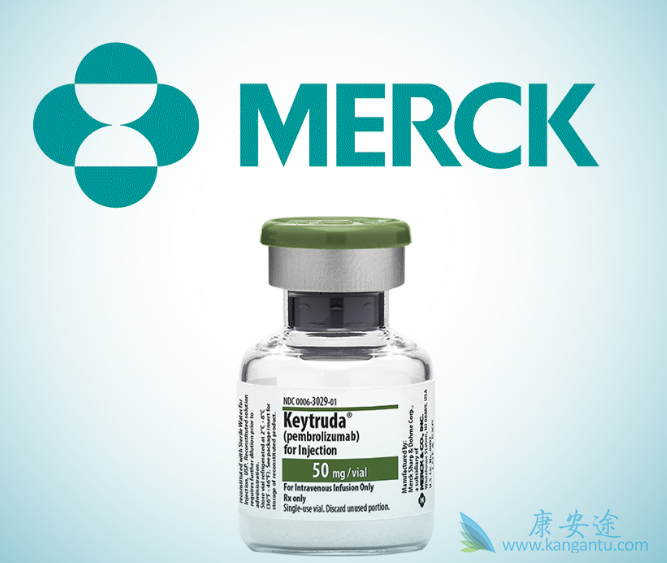 PD-1抑制剂 PD-1抑制剂