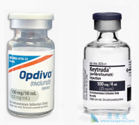 ��ɫ��������ʹ��PD-1���Ƽ����Ƶ�Ч����ô����