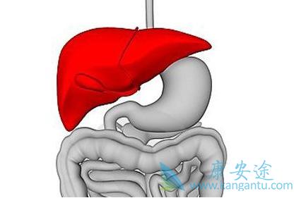 ��������֢״