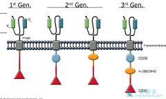 CAR-Tϸ���Ʒ�����Щ�����ã�CAR-T������������
