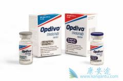 ���䵥����nivolumab)�����ڷΰ������Ʒ�����ҩ