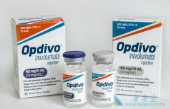 PD-1�������䵥����nivolumab�������ӳ��ΰ���������ʱ����