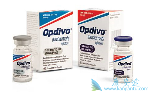 纳武单抗 纳武单抗