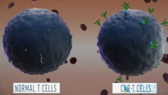 CAR-T�Ʒ��ļ������ƺͼ�������������