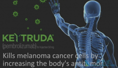һ�����ƿ���ֱ��ʹ��PD-1����Keytruda������С