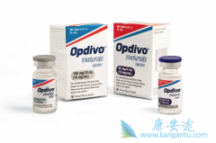 PD-1(Opdivo)��PD-1(Keytruda)��ʲô����