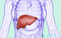 ���ο������Դ�Ⱦ���ٴ�����Ҫ�ı��δ���;������Щ��