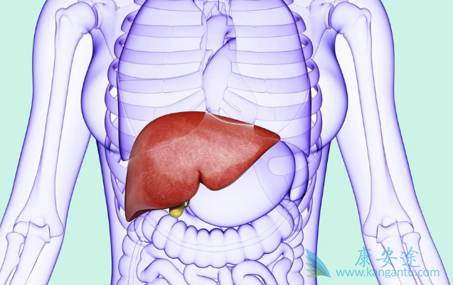 ���ο�������