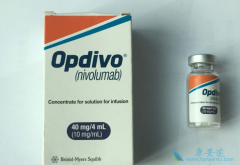 ��δ���PD-1���Ƽ��ĸ����ã��������PD-1���Ƽ�Ч����