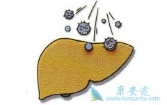 ���ڱ��δ����ڵĻ��߱��ο���ҲΪ����