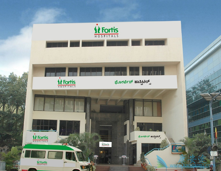 ҽ������