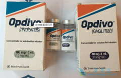 PD-1���Ƽ��ĳ��ָ����఩֢���˺ͼ�����������ϣ��