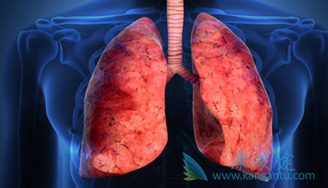 �ΰ�����