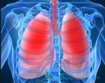 �ΰ���ת�Ƶ�����