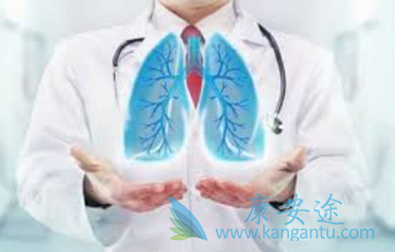 ���ڷΰ�����