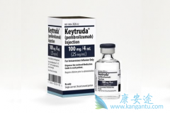 PD-1���Ƽ��ǽ�������ȵİ�֢�����Ʒ�֮һ