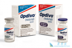 PD-1���Ƽ�nivolumab�ܷ��Ϊ��Сϸ���ΰ�һ������ҩ�