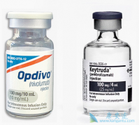 PD-1���Ƽ�Opdivo���Ʒΰ�Ч����ô����Opdivo�����Ʒ���ô����