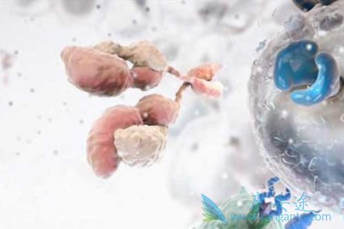 ����ҽ��