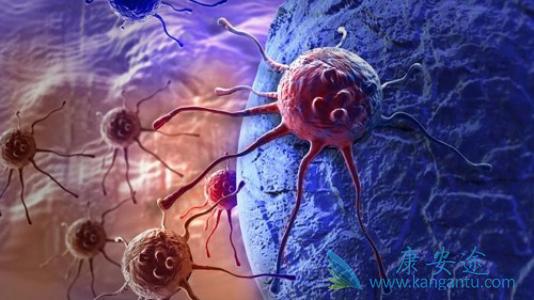 ����ҽ��