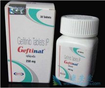 ӡ������ɳ���÷���������ɳ���ڷ���Կ�����