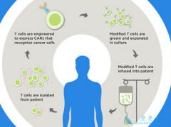 Kymriah��ȫ���һ�����FDA��׼���е�CAR-Tϸ�����Ʒ���