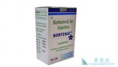 ��������Ŀǰ���ƹ�����������Ч��ҩ��