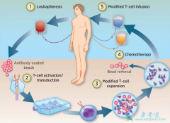 CAR-Tϸ�����Ʒ���Ҳ������һ���ĸ�����