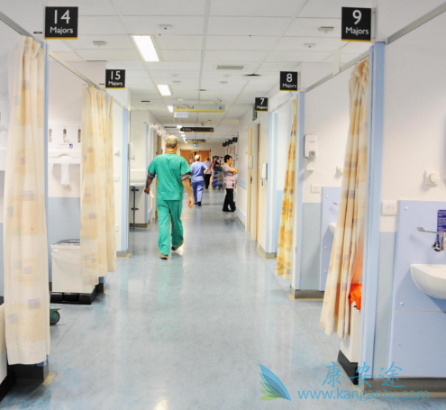 ҽ������