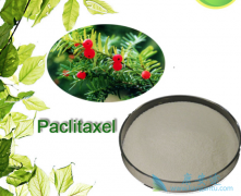 ʹ����ɼ��ʱӦ��ҽ��������ѵ������淶��ҩ����