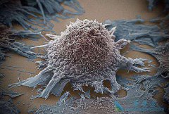 ����ҽ����һ�о�ͻ���÷ΰ����߿�����ϣ��