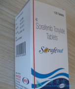 ӡ�ȶ༪�����������ᣩ��˱��˵�����Ҫԭ����ʲô