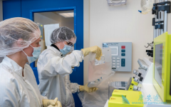 ʲô��CAR-Tϸ�����ƣ�CAR-Tϸ�����ƵĲ�����ʲô��