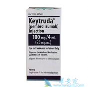 PD-1���Ƽ�Keytruda�ڷΰ������б��ֳ������������Ч��
