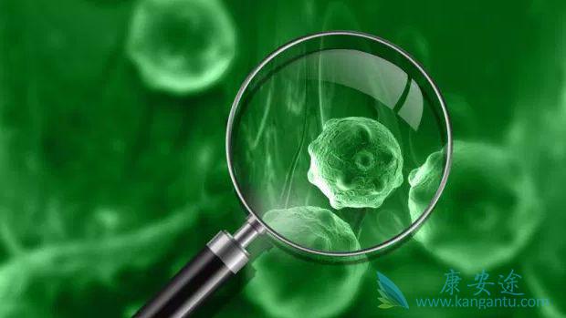 ����ҽ��