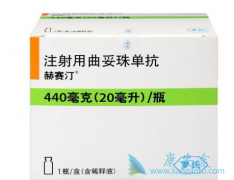 ����͡����HER2����Ķ��Ⱦɫ������ٰ������а���