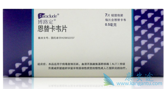 恩替卡韦 恩替卡韦