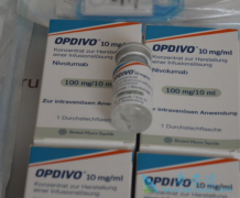 PD-1���Ƽ�Opdivo����Yervoy������������ϸ�������ߵ�����