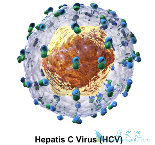 ���ε����Ʒ���