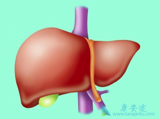 ���ε����Ʒ���