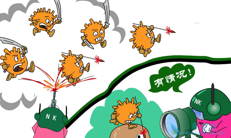 ����α���