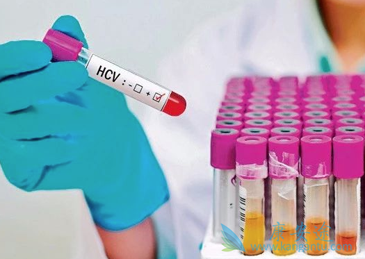 �����α���