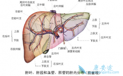 ������Ʊ�������ҽ��ѡ�����ʺϻ��ߵ�