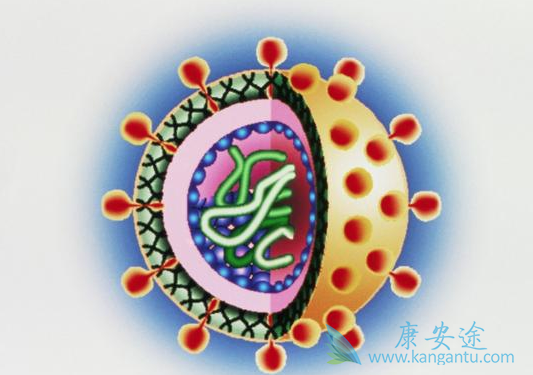 ���Ʊ��εķ���