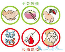 ӡ�����Ʊ��ε�ҩ����˵�ԭ��������