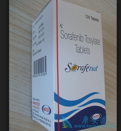 ��������Ƭ