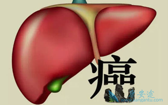 ��������Ƭ