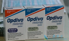 ȫ���׿�PD-1���Ƽ�ŷ���֣�Opdivo�����й�����