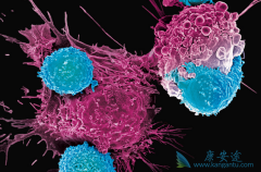 CAR-T�����ض�������Щ����ζԿ�CAR-T���񾭶��ԣ�